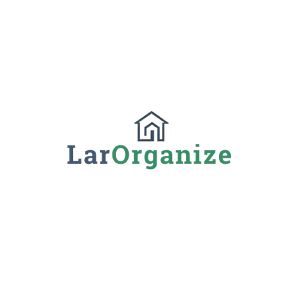LarOrganize